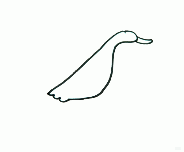 Learn to draw simple strokes, little duck