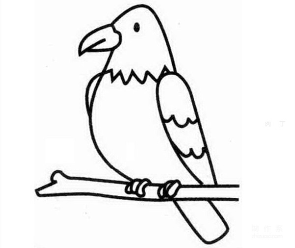 Learn to draw simple drawings, eagles