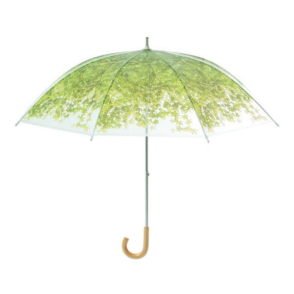 green umbrella