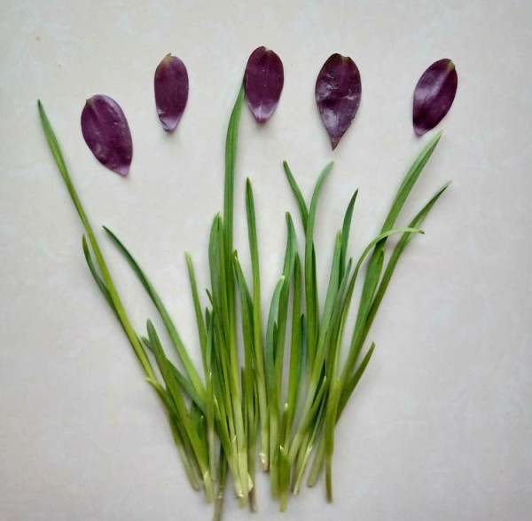 Beautiful and simple handmade method of pasting orchids and butterflies on leeks