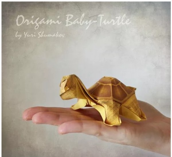 Fox and turtle animal origami, complete collection of office origami illustrations