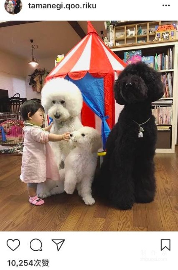 So cute! A 1-year-old girl and three dogs sleep together, eat together, and wear the same clothes...