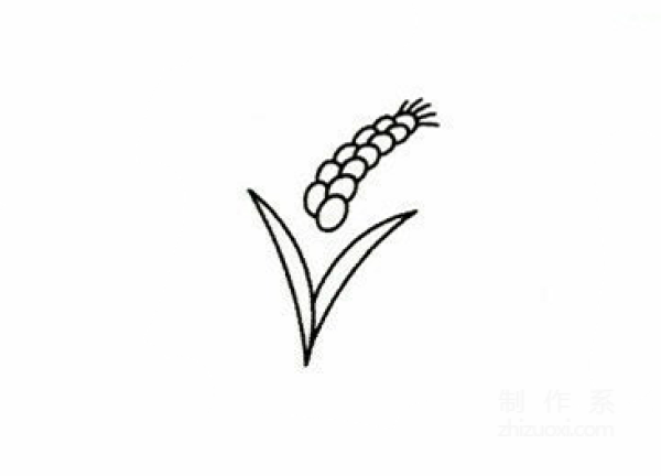 Learn to draw simple strokes of rice, simple strokes of rice