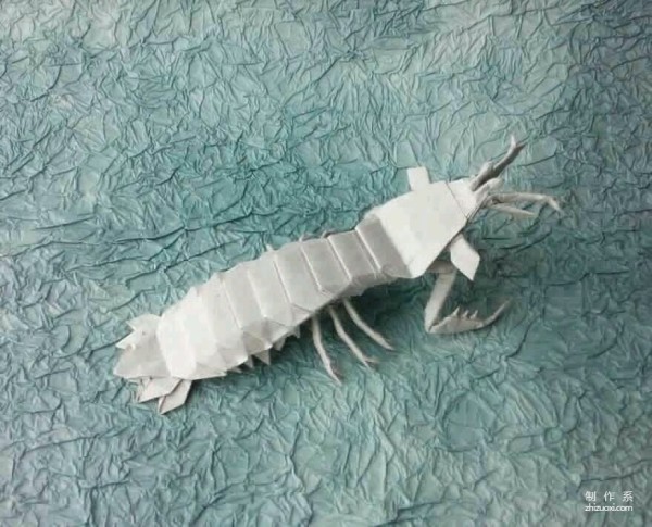 Universal origami, omnipotent origami, complex origami and cake-cutting tutorials for Pipi shrimp and mantis shrimp handmade origami.