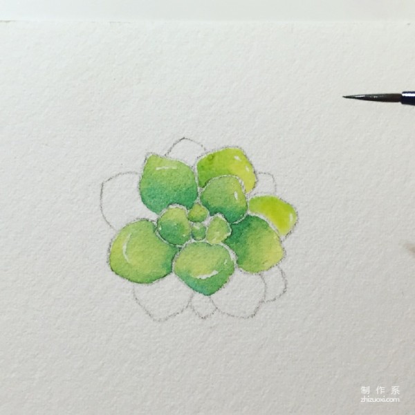 Teach you how to draw succulents in ten minutes watercolor tutorial is here~