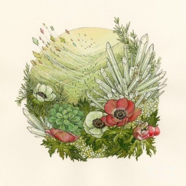 Nicole Gustafssons fresh and beautiful illustrations - a flower, a world