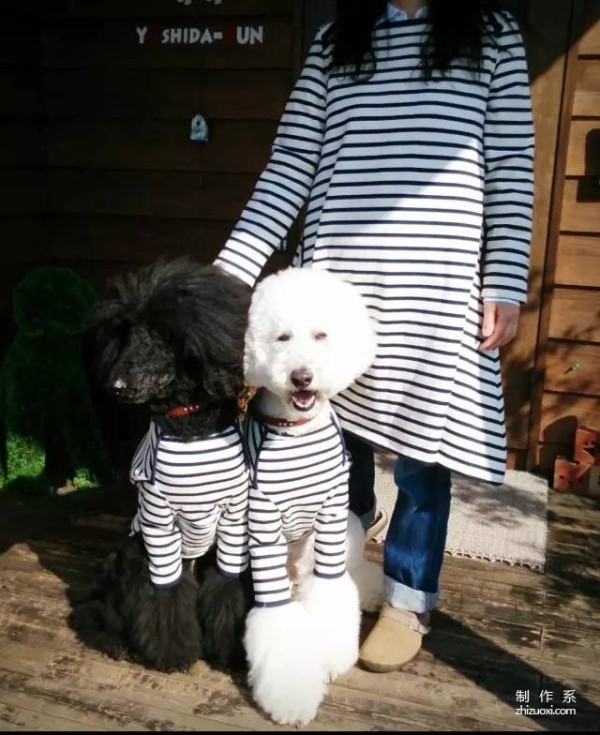 So cute! A 1-year-old girl and three dogs sleep together, eat together, and wear the same clothes...