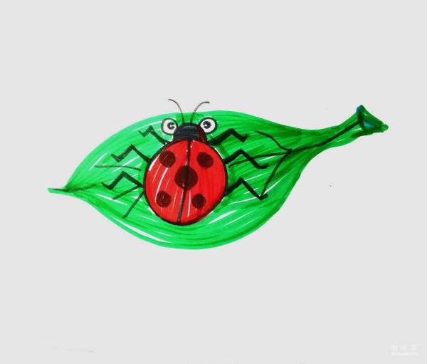 Learn to draw simple drawings, colorful ladybugs