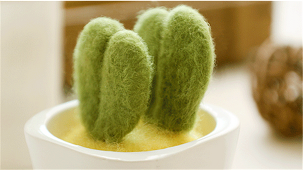 Wool felt creative simulation mini handmade DIY succulents