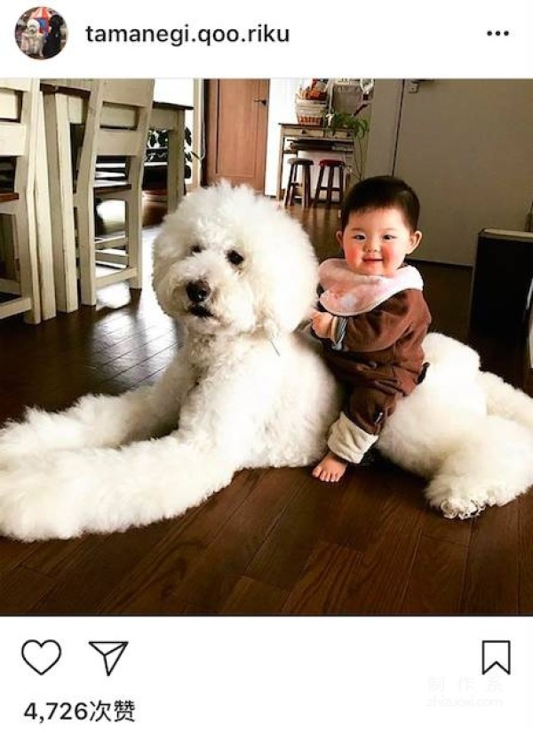 So cute! A 1-year-old girl and three dogs sleep together, eat together, and wear the same clothes...