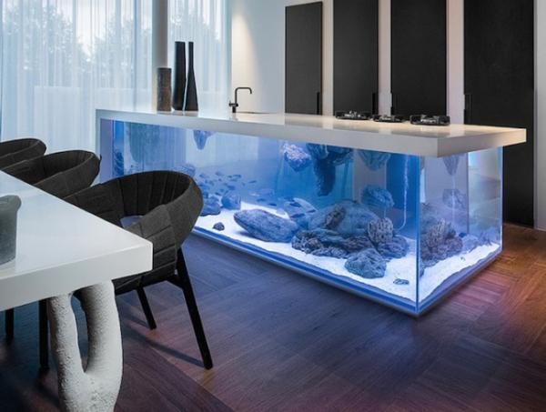 Combination of kitchen and aquarium