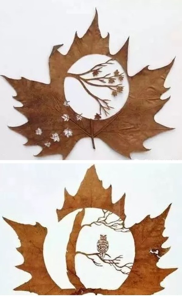 A complete collection of leaf paper-cut patterns for DIY appreciation