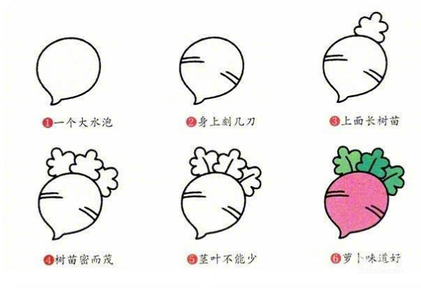 Learn to draw simple drawings, simple drawings of various vegetables