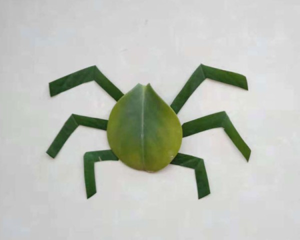 Illustrated tutorial for making spider leaf stickers using leaves and beans