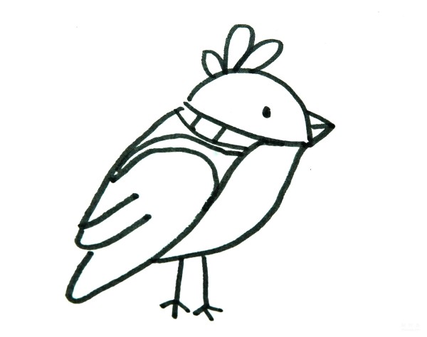 Learn to draw a simple drawing of a bird wearing a scarf