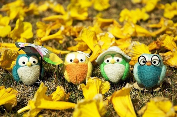 Appreciation of a group of handmade DIY cute wool felt bird products