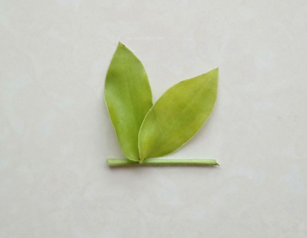 How to make a butterfly from leaves and beans by hand for children