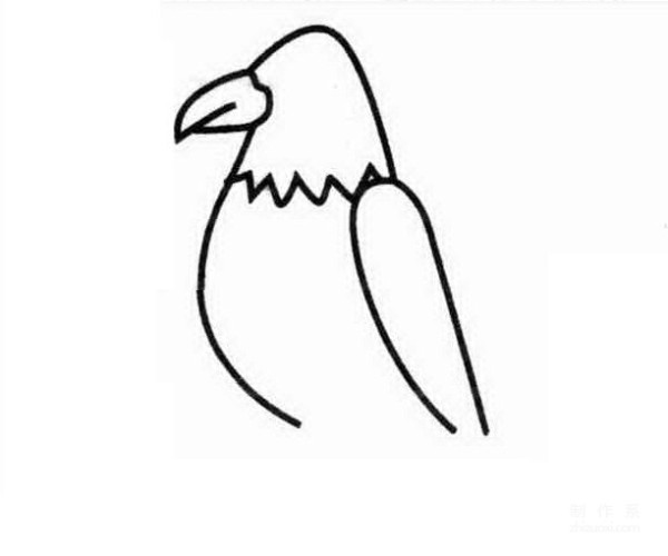 Learn to draw simple drawings, eagles