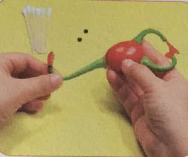 Teach you how to make a handmade fruit plate using fruits and vegetables as a scorpion animal