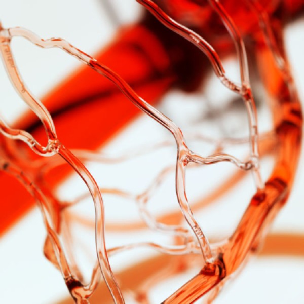 Realistic glass blood vessel model works