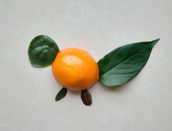 DIY cute little squirrel collage method with oranges and leaves