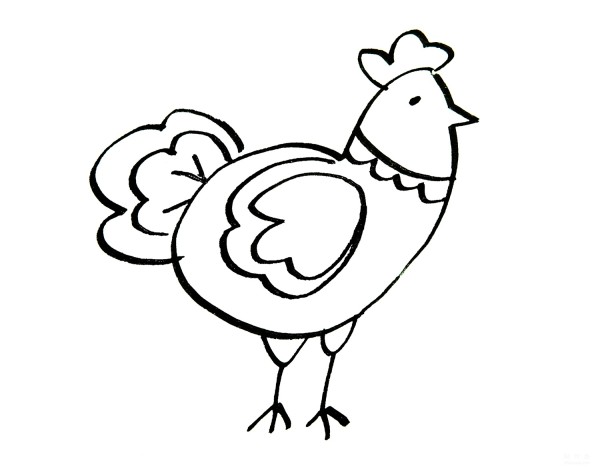 Learn to draw simple drawings, big rooster