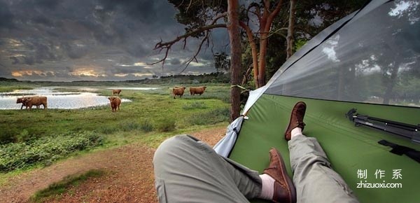 Creative portable treehouse, Tentsile allows everyone to live in a tree