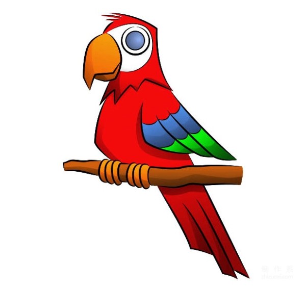 A collection of simple drawing pictures for kindergarten children, teach you step by step how to draw a colorful parrot