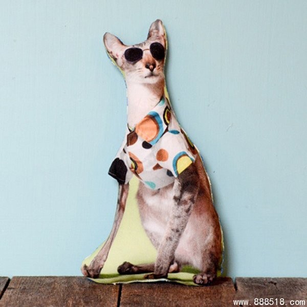 Various noble cute pet DIY creative handmade pillows