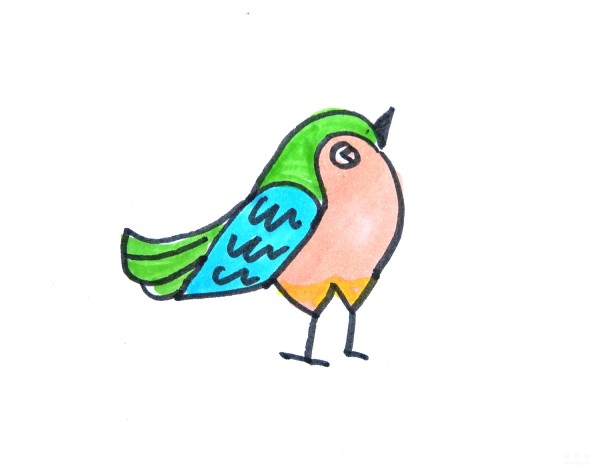 Learn to draw simple drawings, simple drawings of green-tailed birds