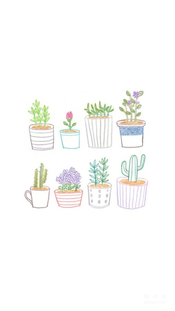 Flowers and grass small illustration simple drawing picture steps