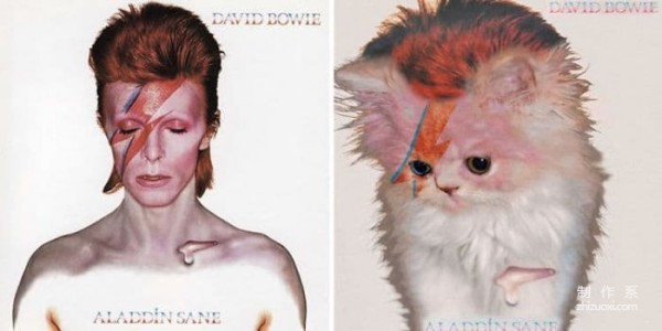 When the cat pops up on the album cover