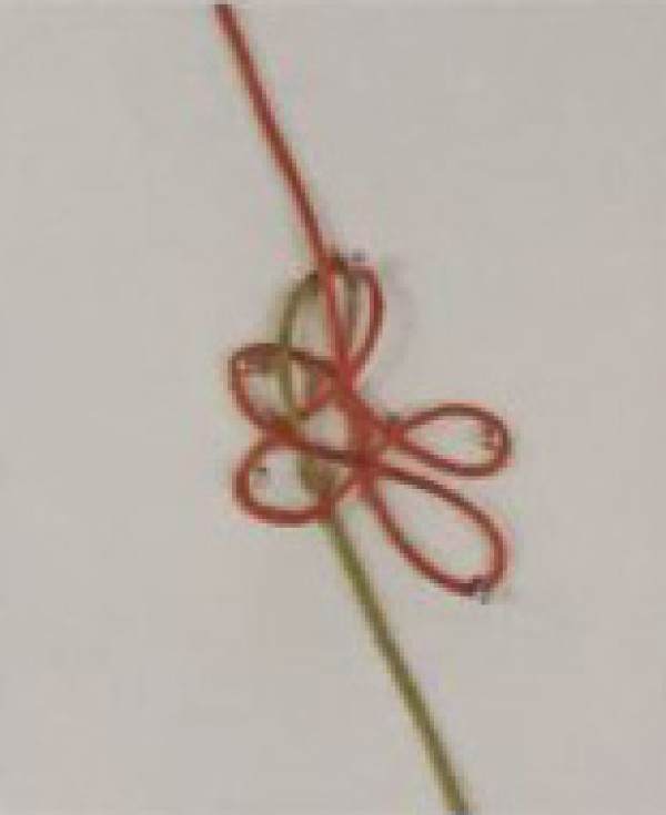 Illustration of basic knot of six-ear tuanjin knot