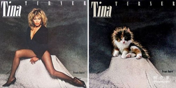 When the cat pops up on the album cover