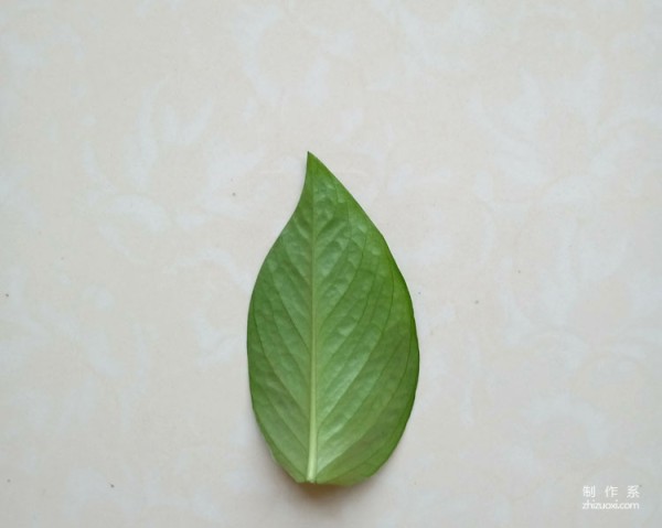 Steps for hand-painting leaf penguins