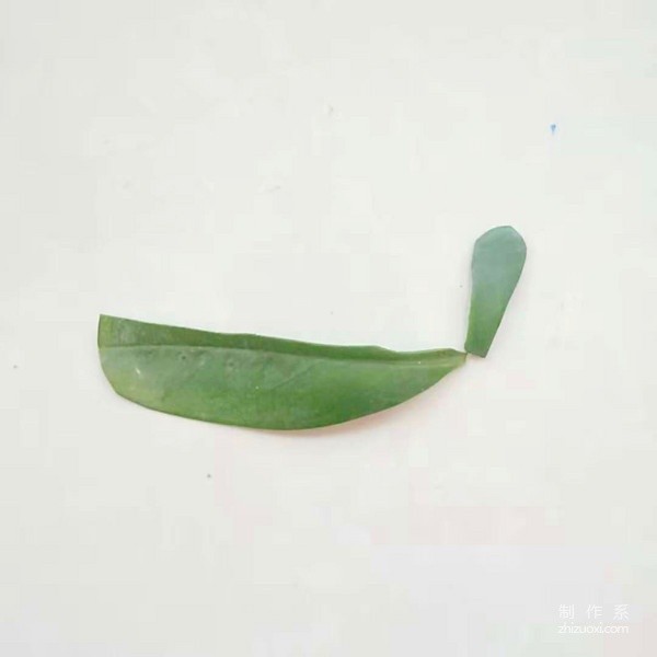 How to paste leaves to draw a cartoon animal snail by hand