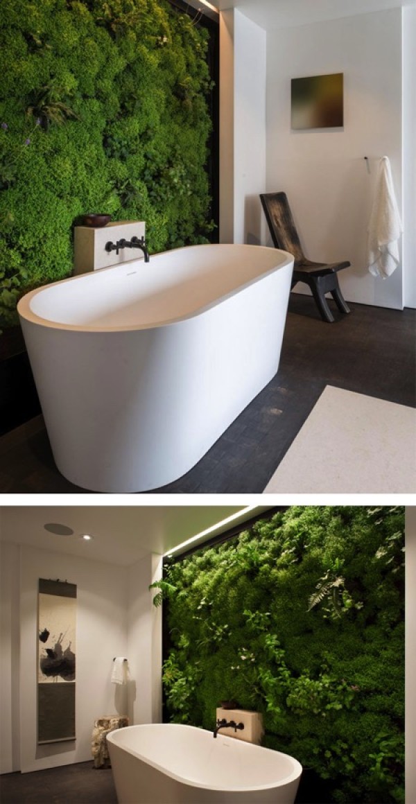 Creative Home Decor: Moss Wall