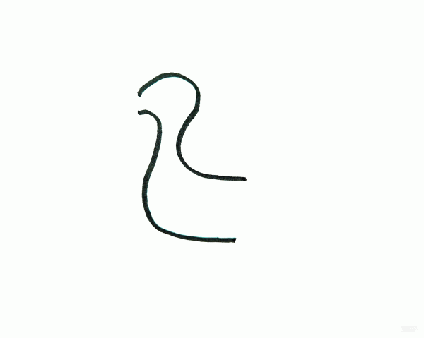 Learn to draw simple drawings, flat-billed ducks