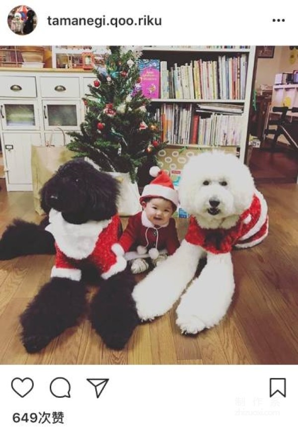 So cute! A 1-year-old girl and three dogs sleep together, eat together, and wear the same clothes...