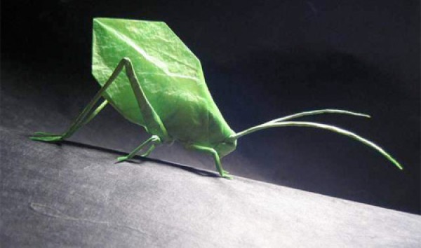 Creative origami show