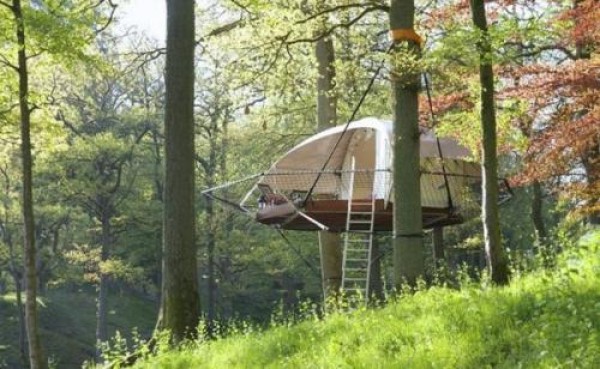 suspended tree house