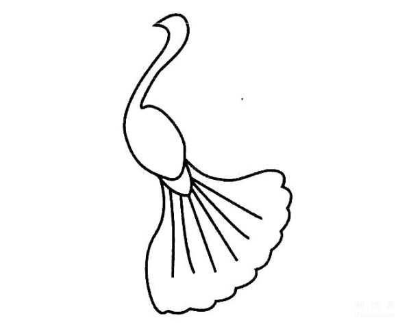 Learn to draw simple drawing, peacock