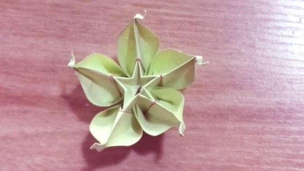 How to make a beautiful carambola flower with hand origami illustrated origami tutorial