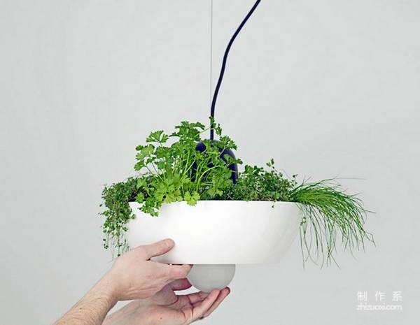 Well Light Green Plant Hanging Lamp Design