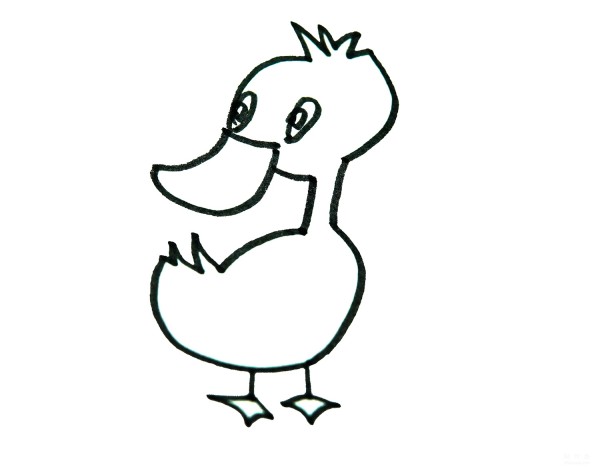 Learn to draw simple strokes and look back at the little duck