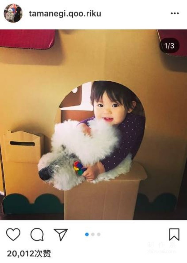 So cute! A 1-year-old girl and three dogs sleep together, eat together, and wear the same clothes...