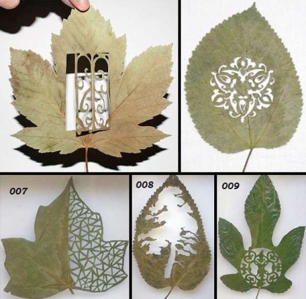 art on leaves