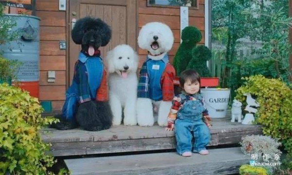 So cute! A 1-year-old girl and three dogs sleep together, eat together, and wear the same clothes...