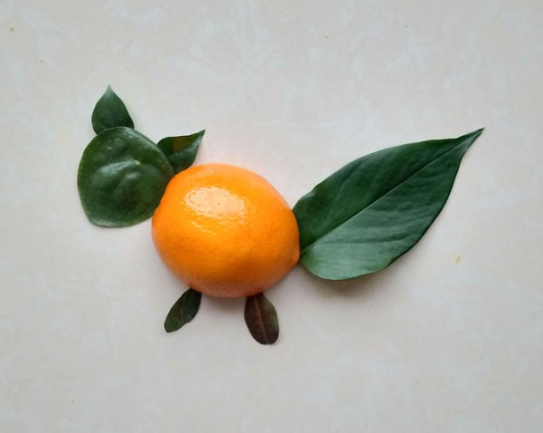 DIY cute little squirrel collage method with oranges and leaves