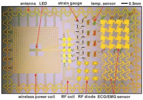 electronic skin